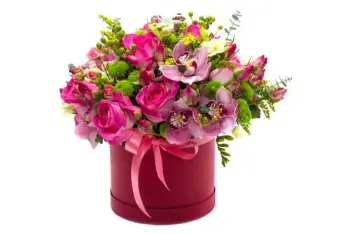 Product 4